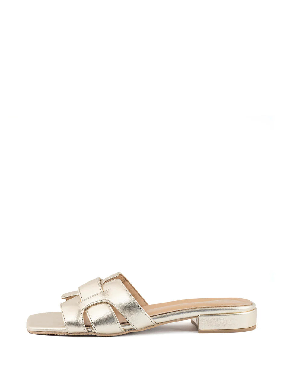 Sun Babouche slipper