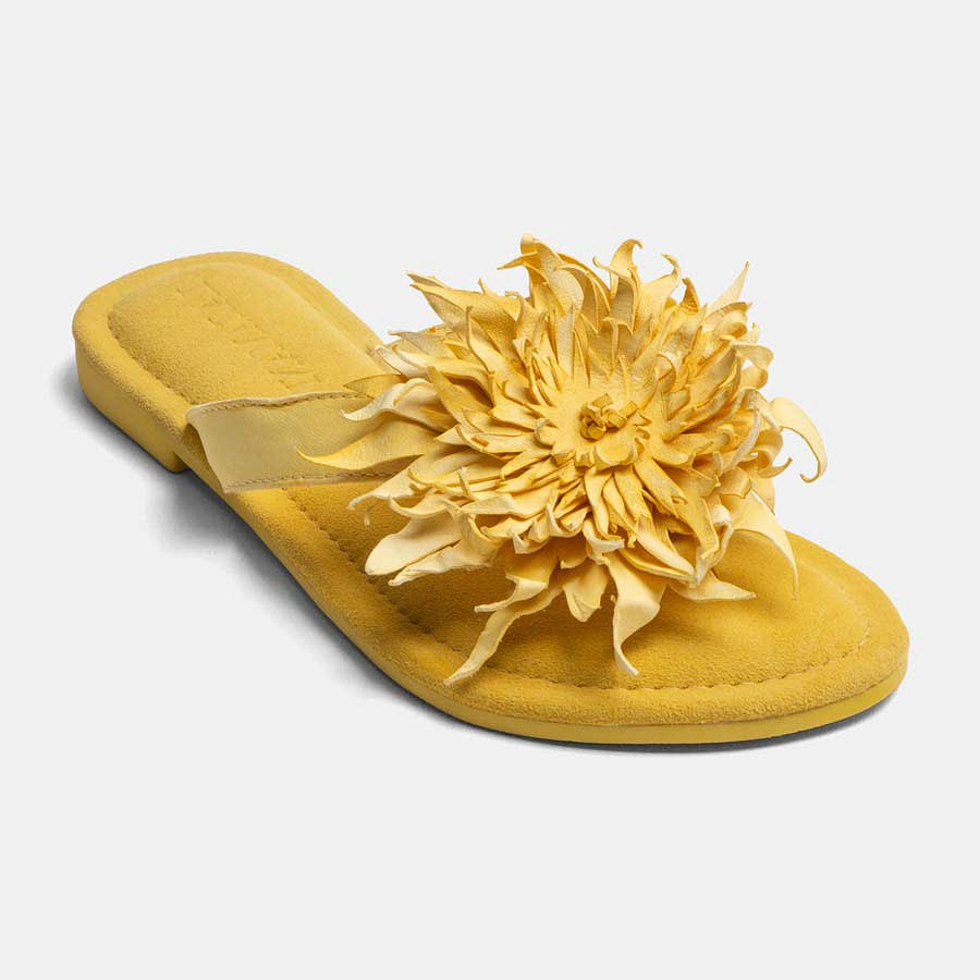 Slipper Cynthia flower - Lazamani