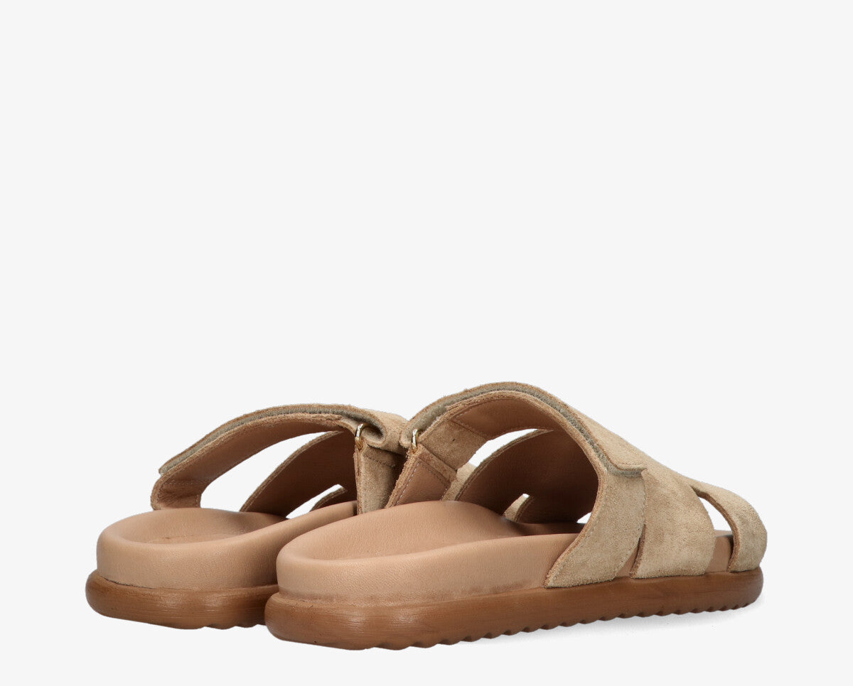 Slipper Lilia - Tango