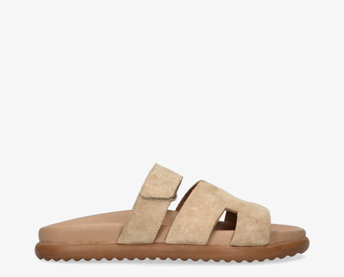 Slipper Lilia - Tango