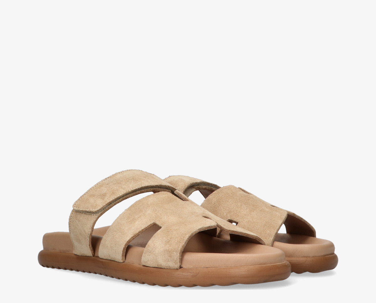 Slipper Lilia - Tango